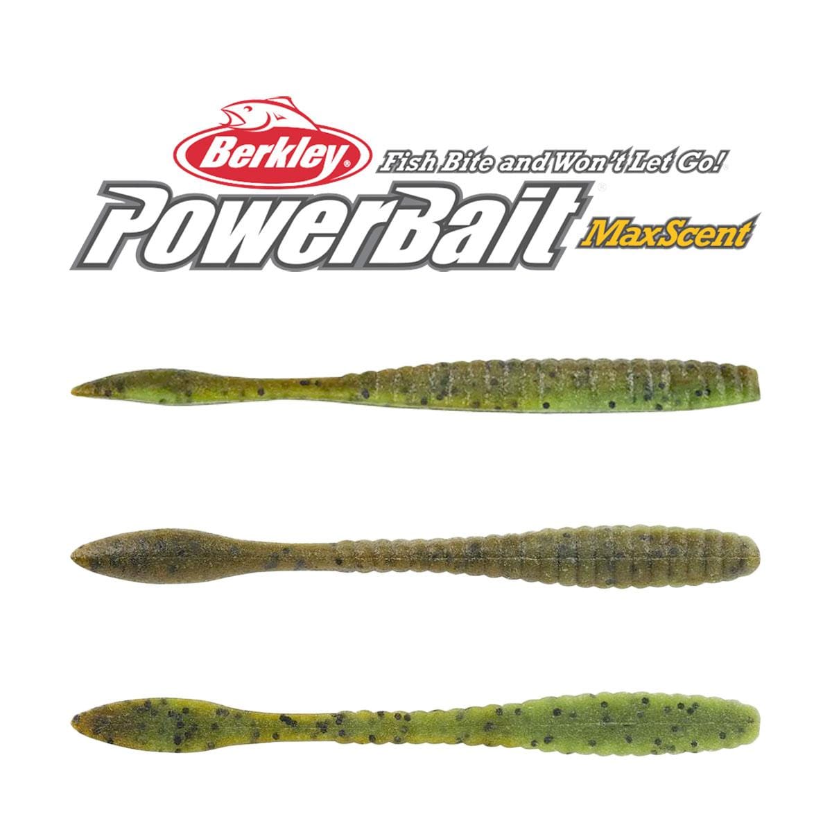 Berkley PowerBait MaxScent ワーム 8個入り　10個 PowerBait® MaxScent Flat Worm | Berkley Fishing®